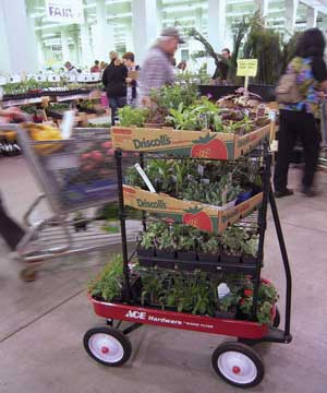 Friends School Plant Sale