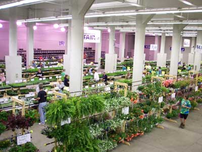 View of plant sale floor with hanging basket racks in foreground