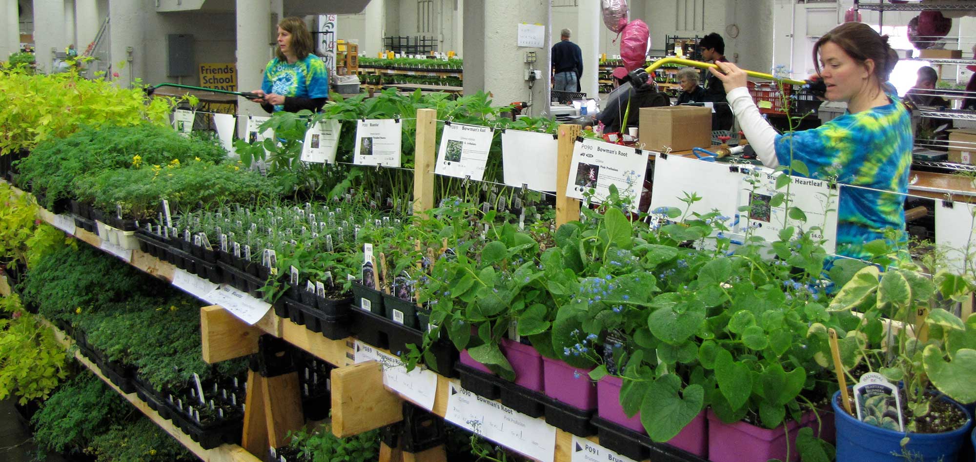 Two women in tie-dyed t-shirts watering a long table full of plants