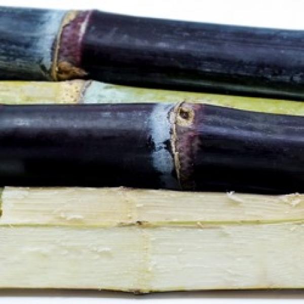 black sugar cane