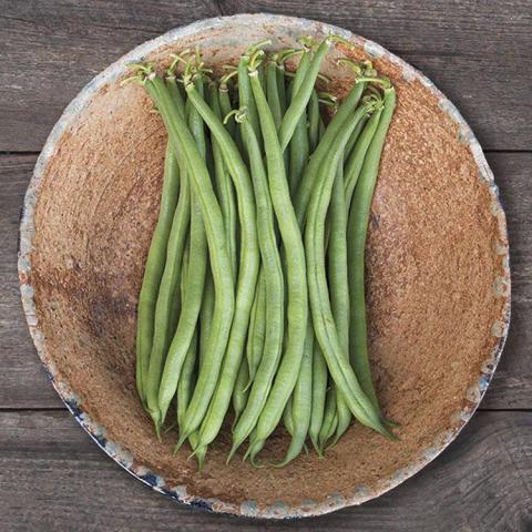 Jade Bush bean, long green beans in a brown bowl