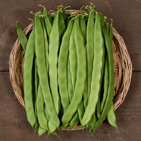 Northeaster Pole beans, long flat green beans in a basket