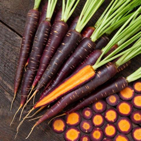 Carrot Lila Lu, long thin carrots purple outside, orange inside