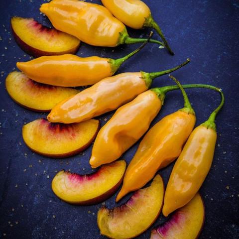 Sugar Rush Peach pepper, peachy yellow long peppers