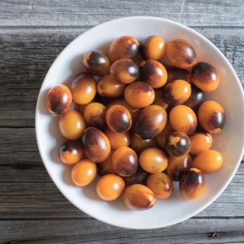 Indigo Kumquat tomato, small orange with half purple blush