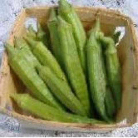 Evertender okra, long green pods